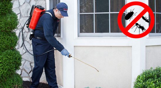 Etimesgut Gümüşkurt İlaçlama böcek ilaçlama ve haşere kontrolü — ilaclama-tr.com